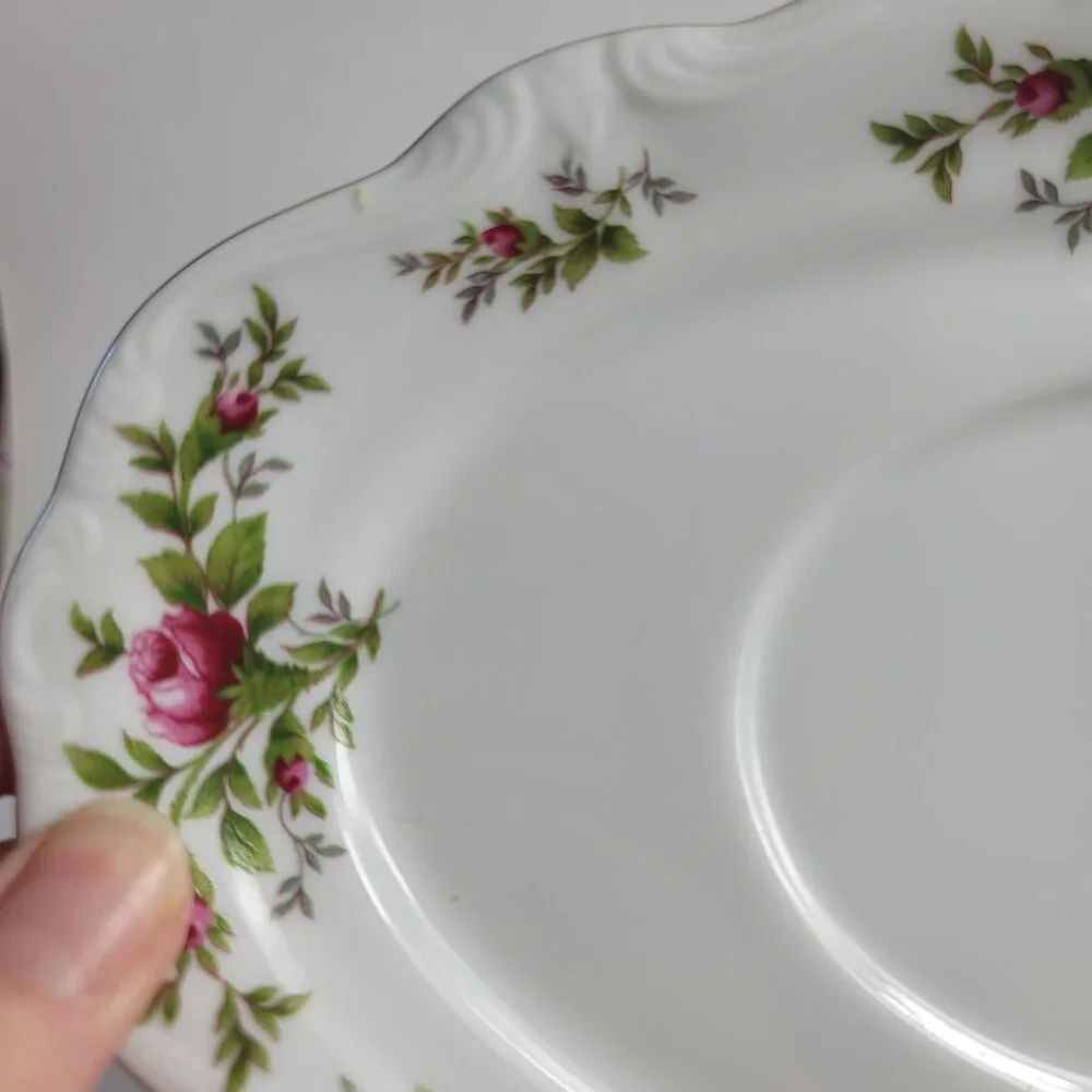Traditions China Johann Haviland Moss Rose Gravy Boat & Underplate Pink Roses